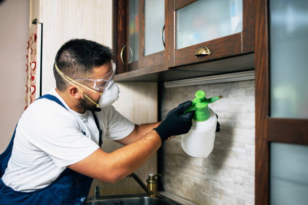 Best Rat Extermination Near Me  in Lathrop, MO