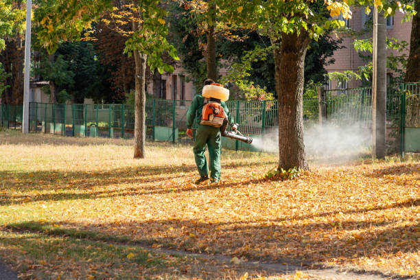 Best Affordable Pest Control Services  in Lathrop, MO